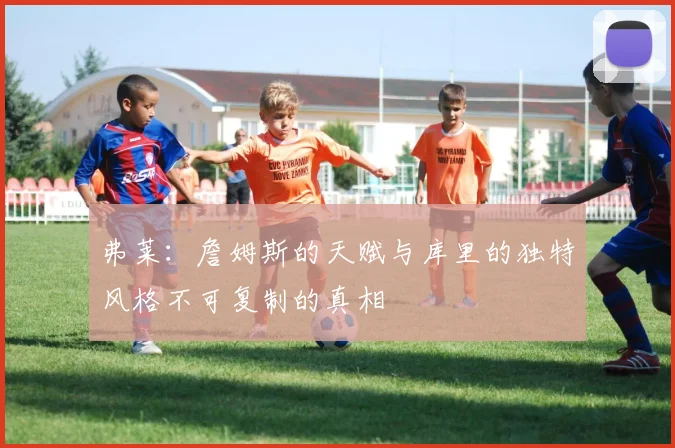 弗莱：詹姆斯的天赋与库里的独特风格不可复制的真相