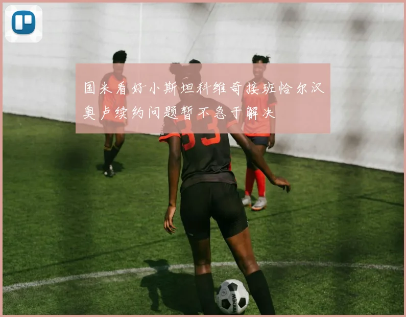国米看好小斯坦科维奇接班恰尔汉奥卢续约问题暂不急于解决